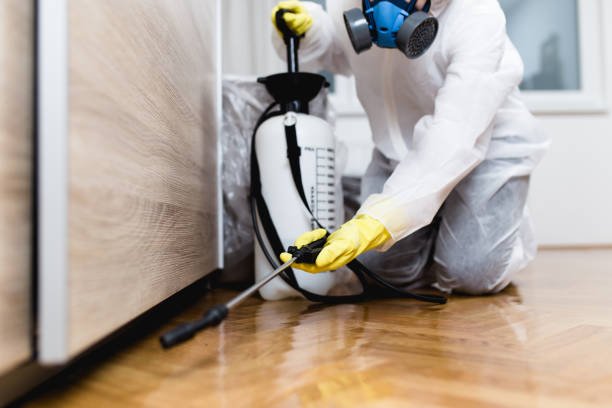 Pest Control for Restaurants in Wright, FL