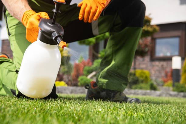 Best Insect Control  in Wright, FL