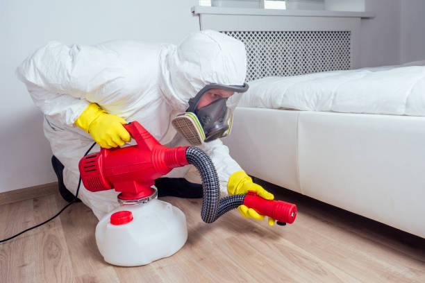 Best Wildlife Control Services  in Wright, FL