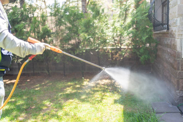 Best Local Pest Control Services  in Wright, FL