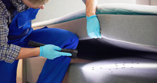 Best Insect Control  in Wright, FL