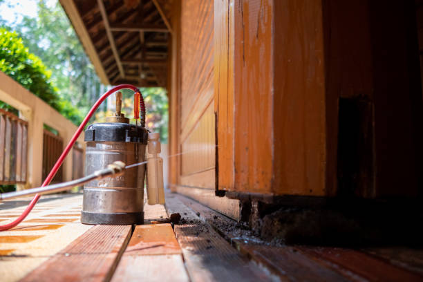 Best Pest Removal Services  in Wright, FL
