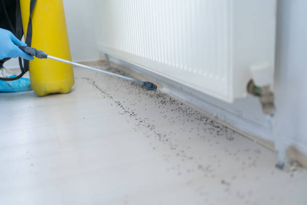 Professional Pest Control in Wright, FL