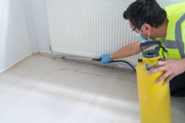 Best Emergency Pest Control  in Wright, FL